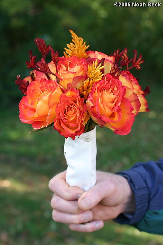 October 7, 2006: hand-held bouquets with fall colors