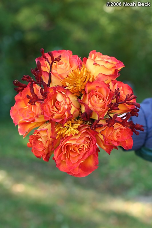 October 7, 2006: hand-held bouquets with fall colors