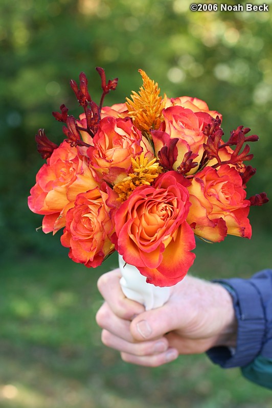 October 7, 2006: hand-held bouquets with fall colors