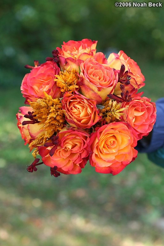 October 7, 2006: hand-held bouquets with fall colors