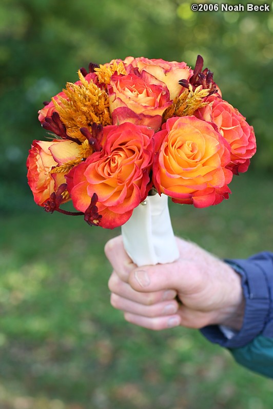 October 7, 2006: hand-held bouquets with fall colors