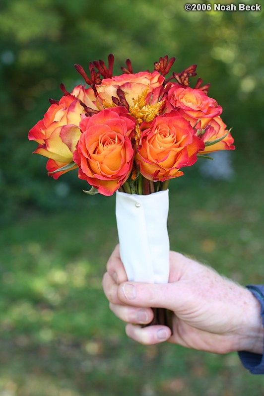 October 7, 2006: hand-held bouquets with fall colors