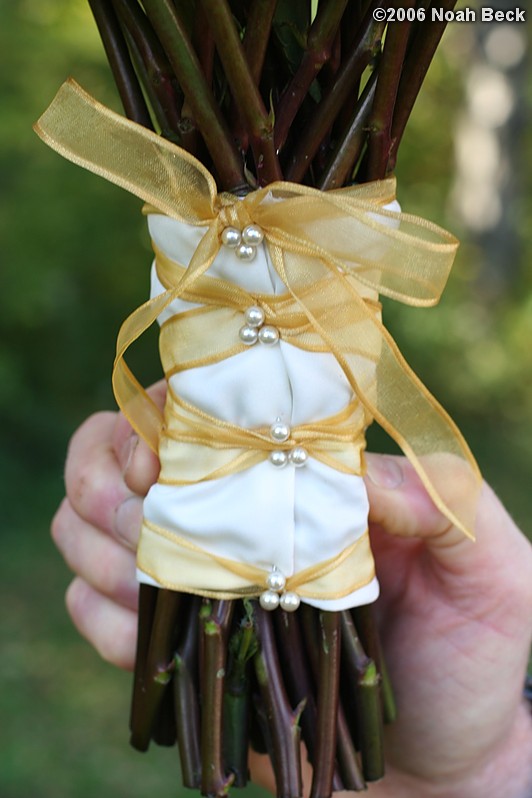 October 7, 2006: hand-held bouquets with fall colors