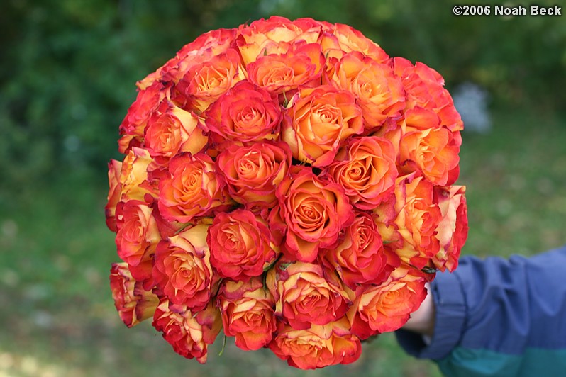 October 7, 2006: hand-held bouquets with fall colors