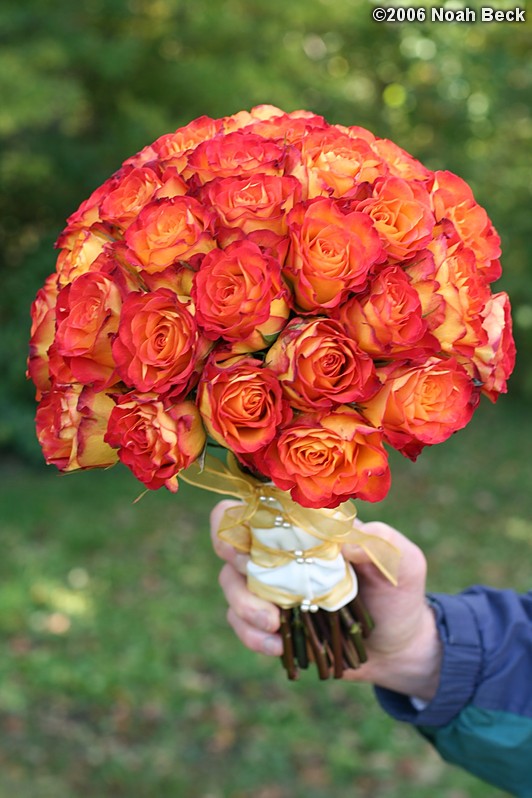 October 7, 2006: hand-held bouquets with fall colors