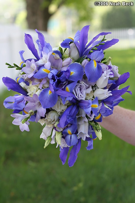 May 27, 2006: Hand-held flower bouquet