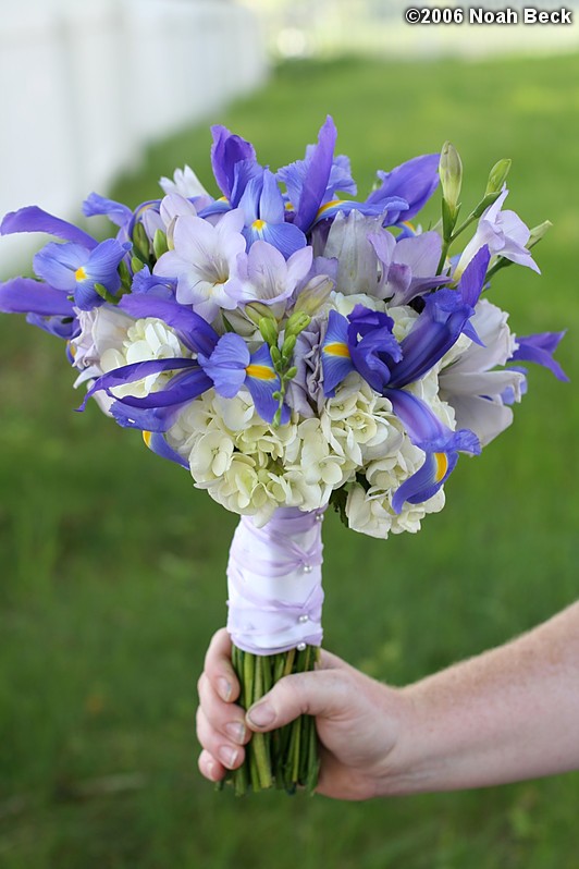 May 27, 2006: Hand-held flower bouquet