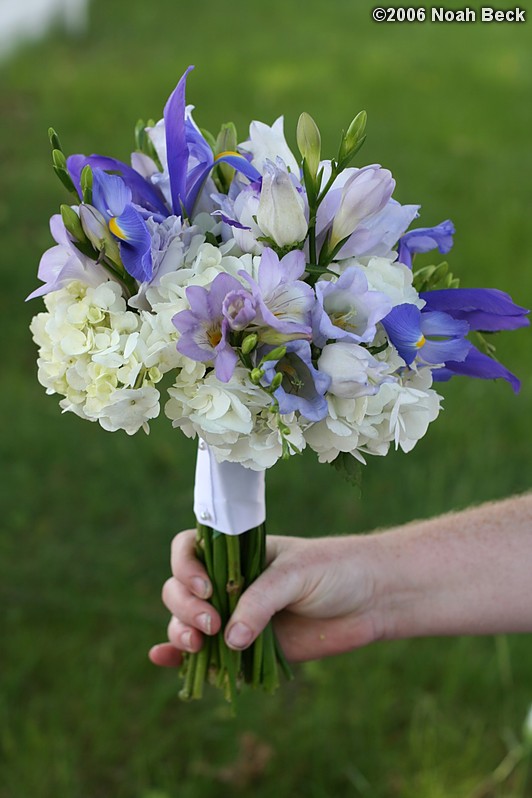 May 27, 2006: Hand-held flower bouquet