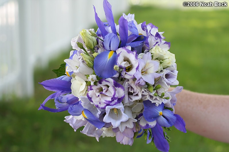 May 27, 2006: Hand-held flower bouquet