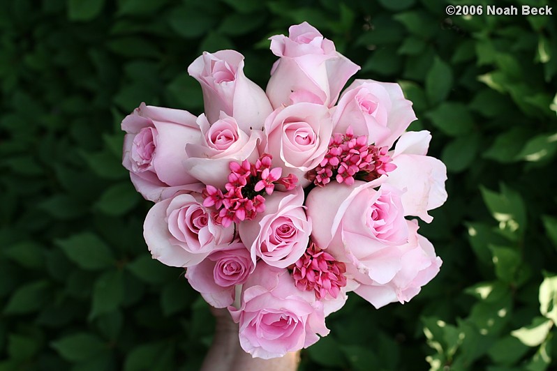 July 1, 2006: hand-held rose bouquet