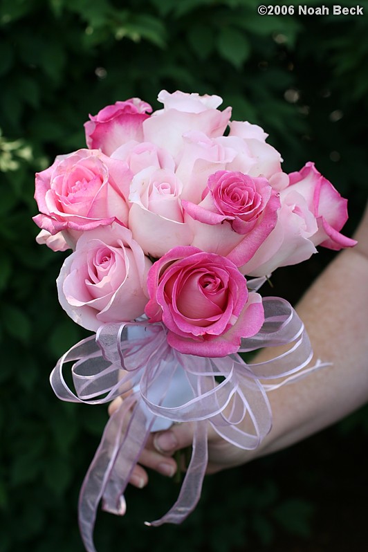 July 1, 2006: hand-held rose bouquet