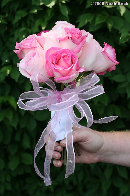 July 1, 2006: hand-held rose bouquet