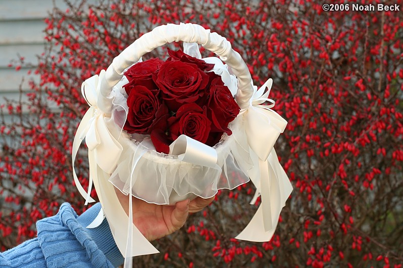 November 11, 2006: hand-held rose bouquet