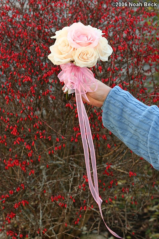 November 11, 2006: hand-held rose bouquet