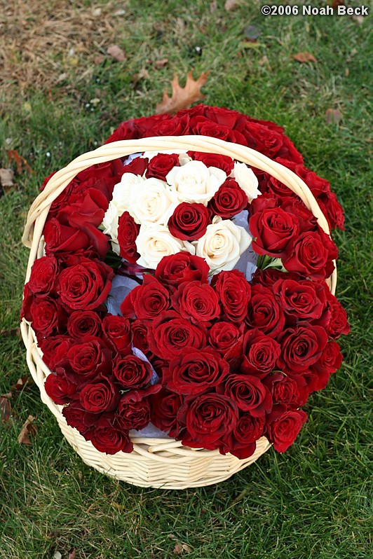 November 11, 2006: hand-held rose bouquets in a basket