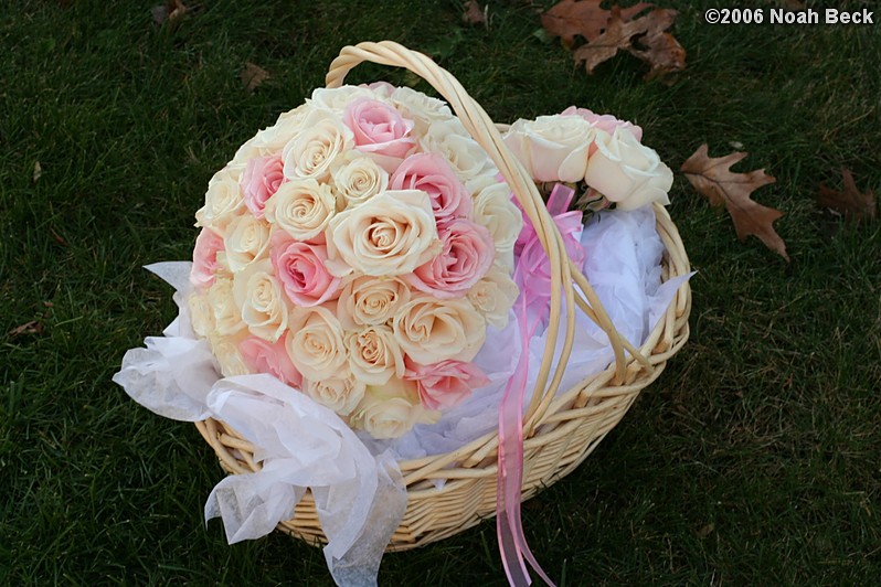 November 11, 2006: hand-held rose bouquets in a basket