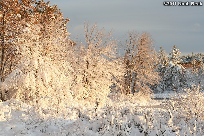 October 30, 2011: a heavy snow on the morning of Oct 30, knocked out power to many New England towns