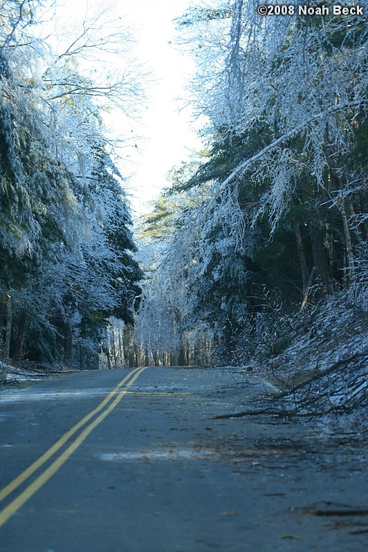 December 13, 2008: ice storm damage