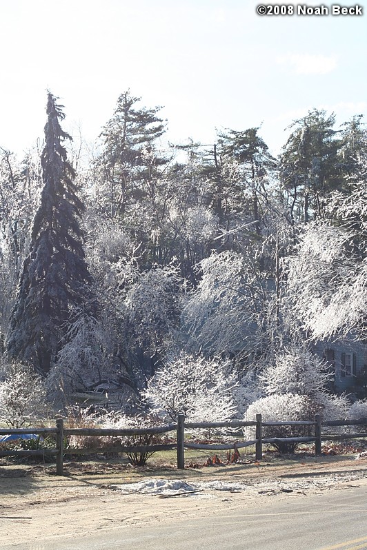 December 14, 2008: ice storm damage