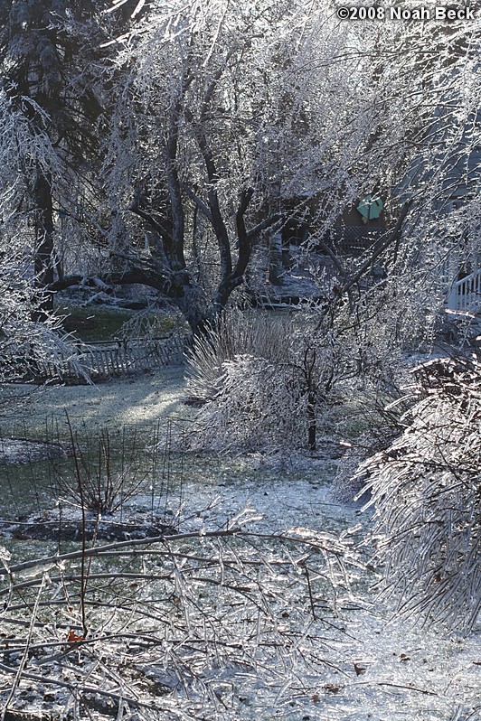 December 14, 2008: ice storm damage