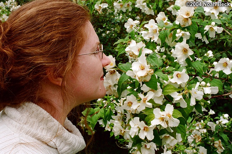 July 4, 2004: When in Ireland, don&#39;t forget to stop and smell the flowers.