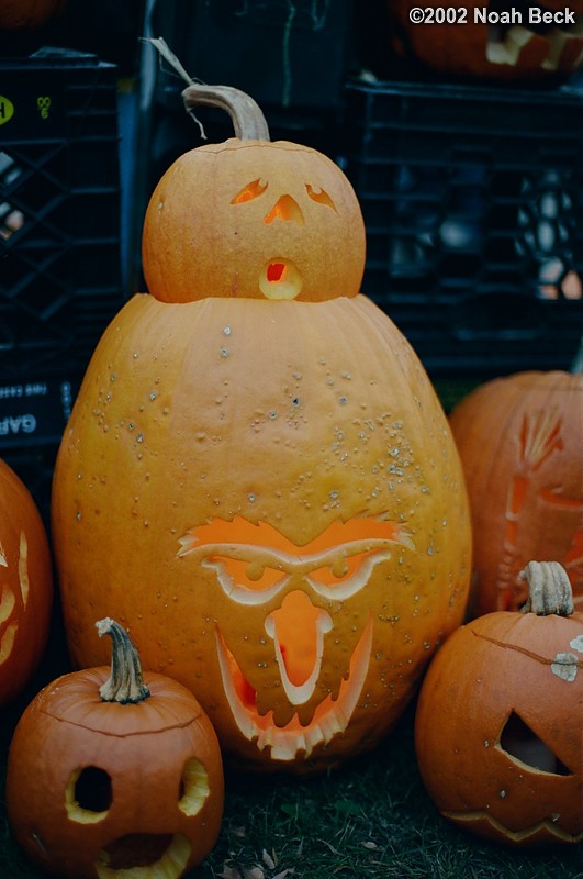 October 26, 2002: Keene Pumpkin Festival pumpkins