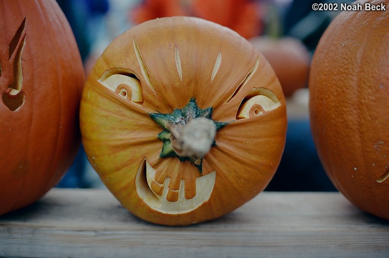 October 26, 2002: Keene Pumpkin Festival pumpkins