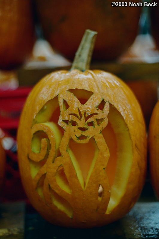 October 25, 2003: Keene Pumpkin Festival pumpkins