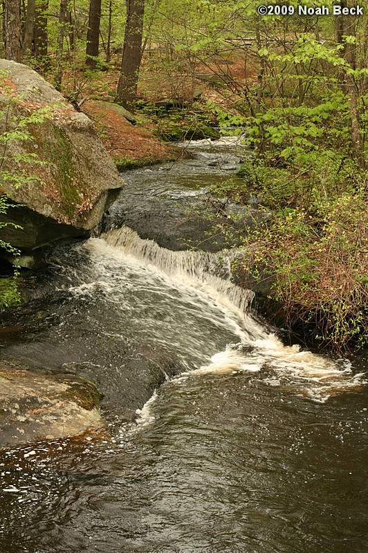 May 9, 2009: Keyes Brook near Gleason Rd