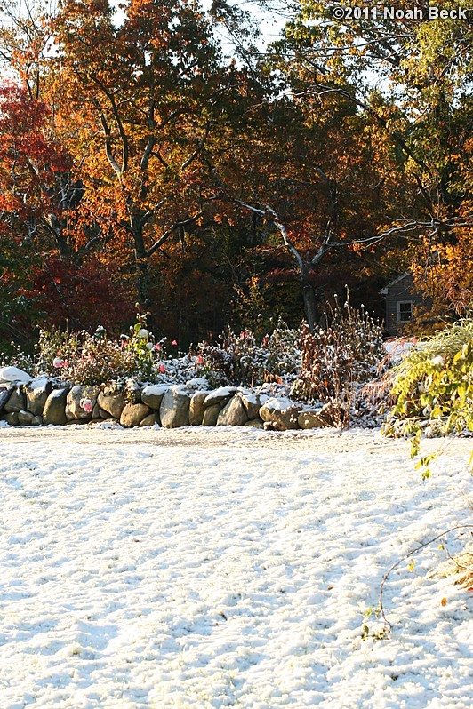 October 28, 2011: a light snow on the morning of Oct 28