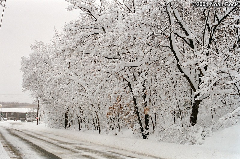 March 6, 2001: The local road after the blizzard