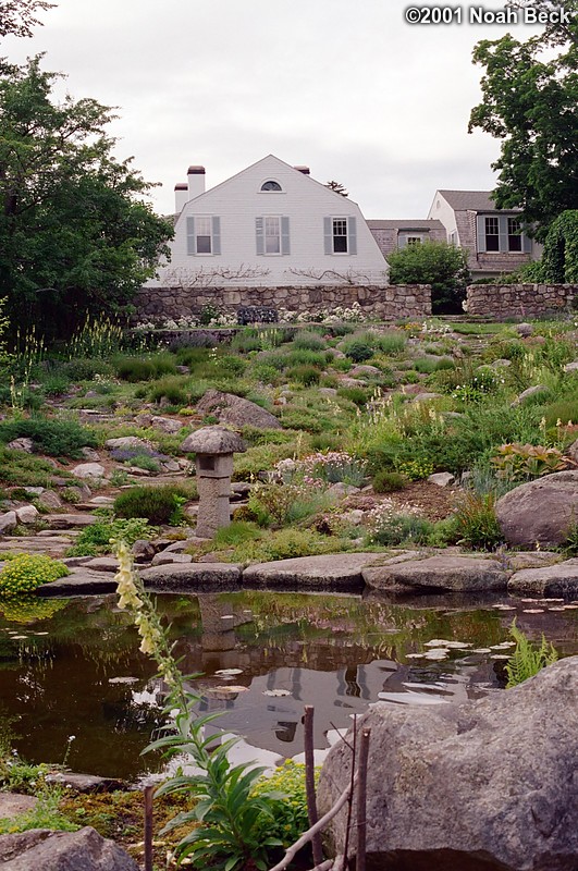 July 3, 2001: The main rock garden