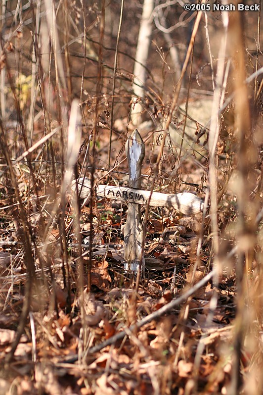 November 20, 2005: Marsha grave marker near the rock wall in the back yard.  Suspect Marsha was a dog.