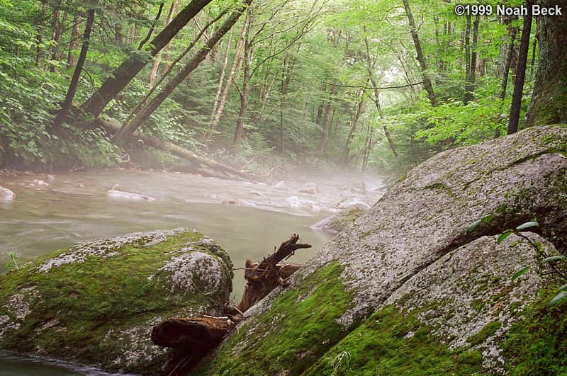 July 31, 1999: Some mist had settled over this stream as the air cooled in the evening.