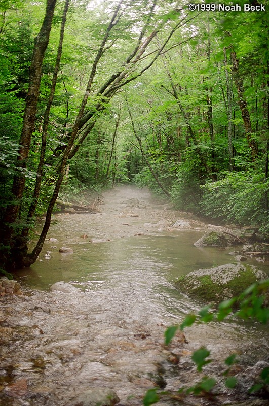 July 31, 1999: Some mist had settled over this stream as the air cooled in the evening.