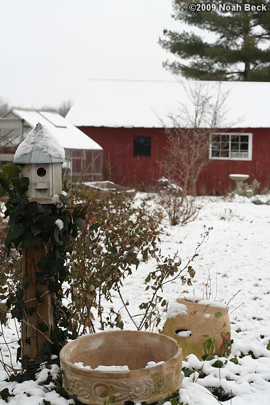 December 28, 2009: my mother&#39;s garden under a light snow
