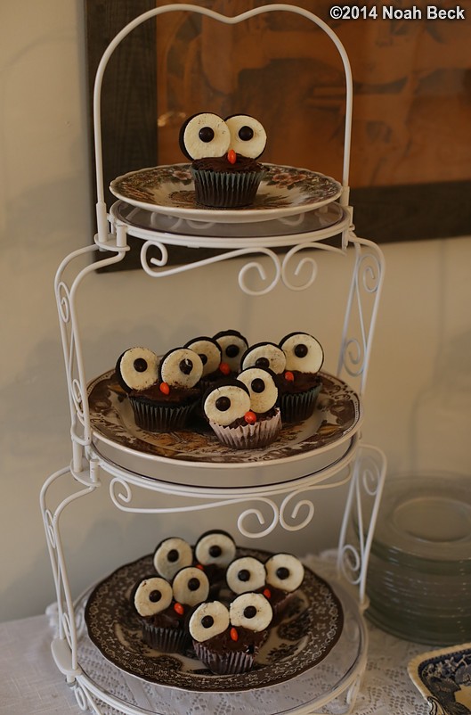 November 27, 2014: Owl cupcakes