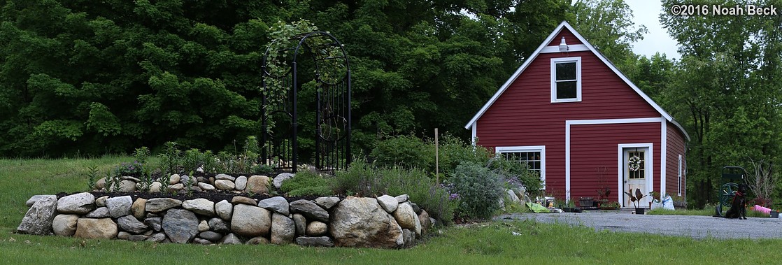 May 30, 2016: Panorama of the flower garden, grape arbor, and barn