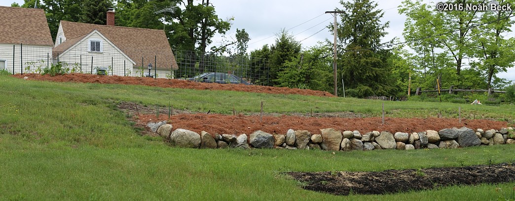 May 30, 2016: Panorama of the vegetable garden and squash patch