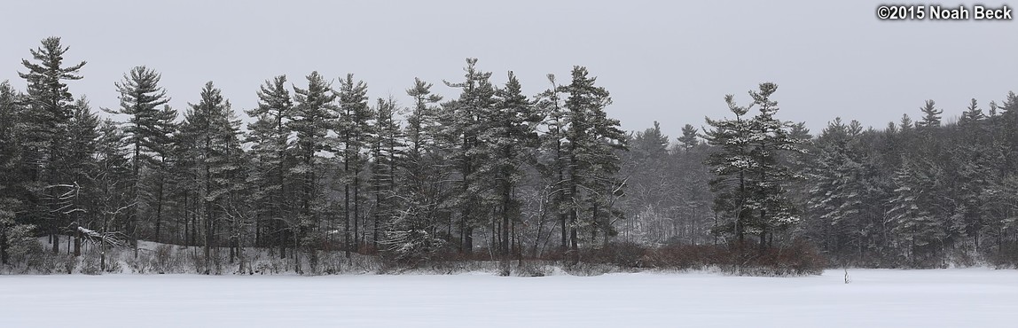 February 8, 2015: Paradise Pond in Leominster State Forest