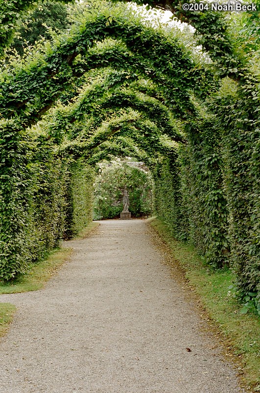 July 4, 2004: There are two paths that have archways over them. This is half of one of them.