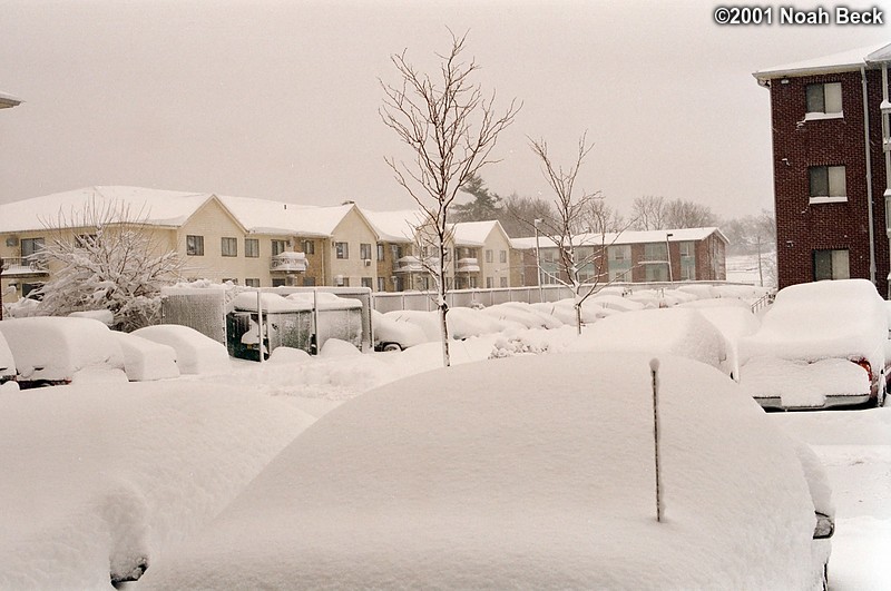 March 6, 2001: Looking out from my patio across the parking lot to my neighboring apartment complex.