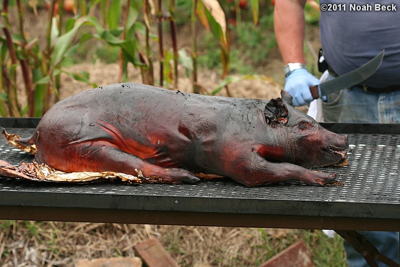 August 27, 2011: Pig Roast, done by Maltese Barbeque