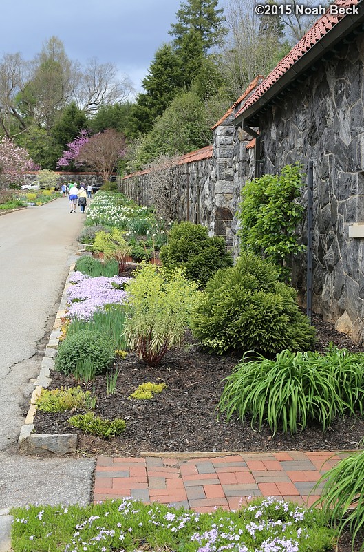April 10, 2015: Plants outside the gardner&#39;s cottage in the walled garden