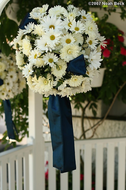 August 5, 2007: Pomander accent for a small pergola