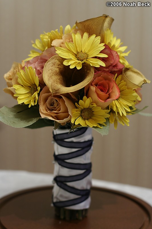 May 15, 2006: Preserved hand-held bouquet