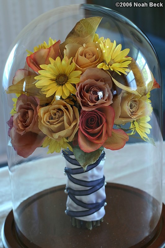 May 24, 2006: Preserved hand-held bouquet
