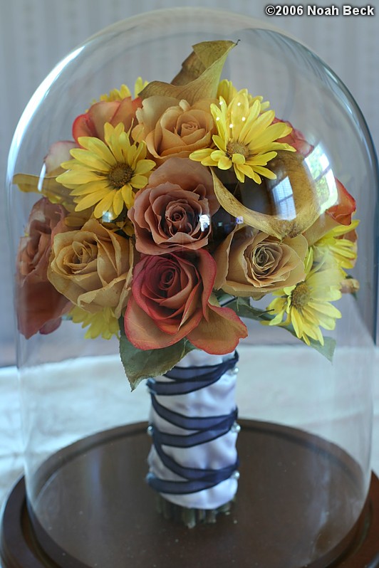 May 24, 2006: Preserved hand-held bouquet