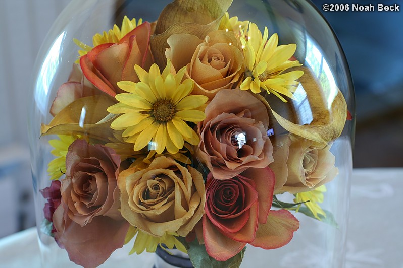 May 24, 2006: Preserved hand-held bouquet