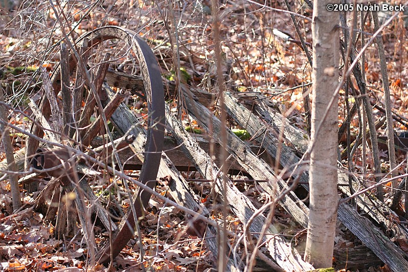 November 20, 2005: remnants of an old wagon and a wood spoke wheel